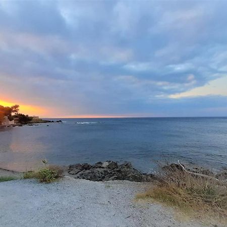 Charmant Appartement Vue Mer A 100M De La Plage. Saint Aygulf Dış mekan fotoğraf
